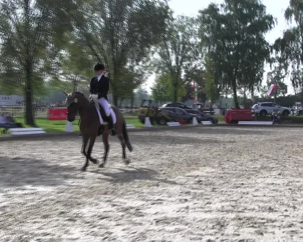 Reitturnier Ahlen 2017