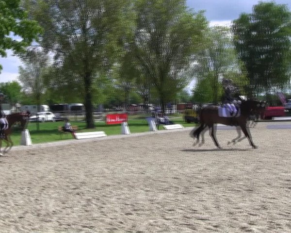 Reitturnier Ahlen 2017