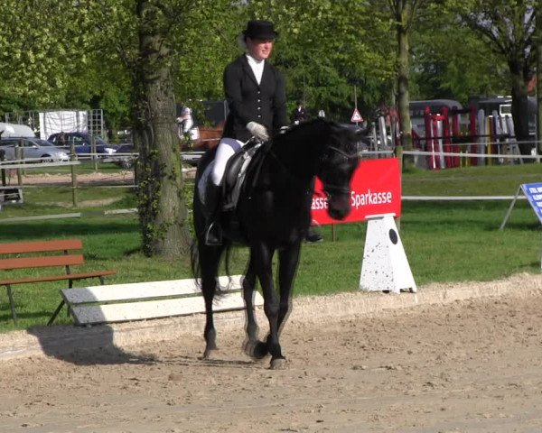 Reitturnier Ahlen 2017