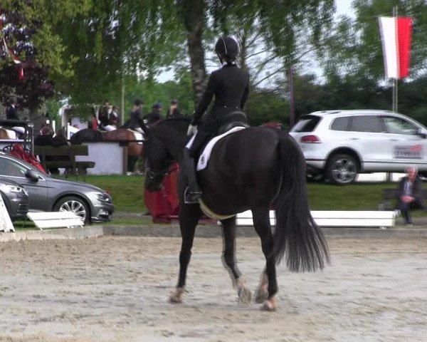 Reitturnier Ahlen 2017