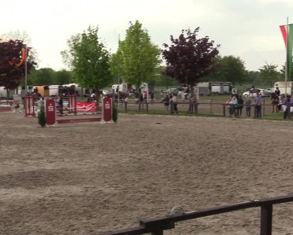 Reitturnier Ahlen 2017