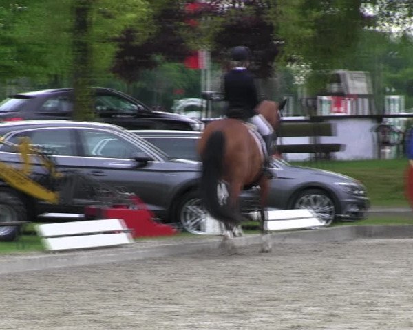 Reitturnier Ahlen 2017
