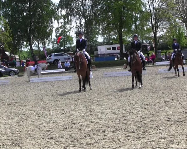 Reitturnier Ahlen 2017