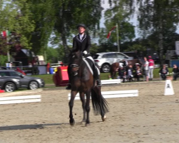 Reitturnier Ahlen 2017