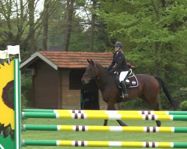 Reitturnier Lienen 2017
