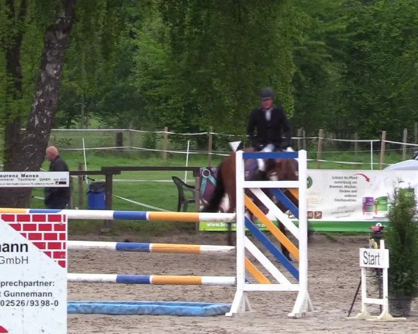 Reitturnier Ahlen 2017