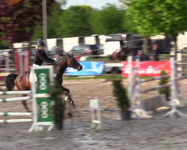 Reitturnier Ahlen 2017