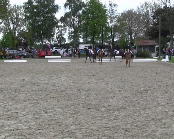 Reitturnier Ahlen 2017