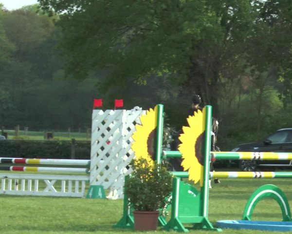 Reitturnier Lienen 2017