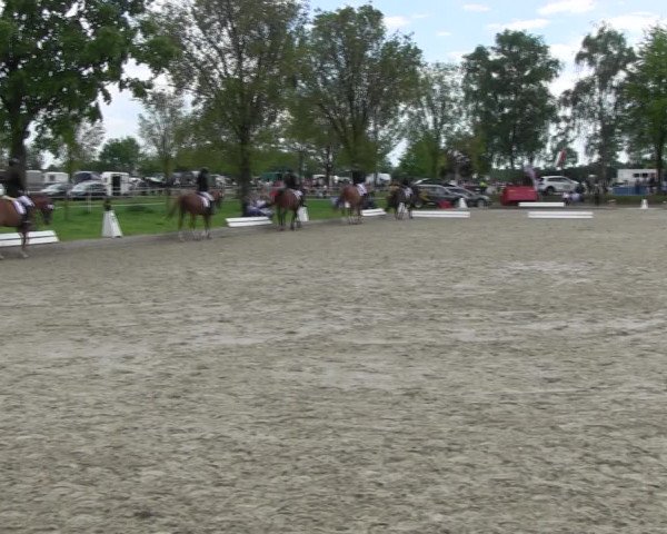 Reitturnier Ahlen 2017