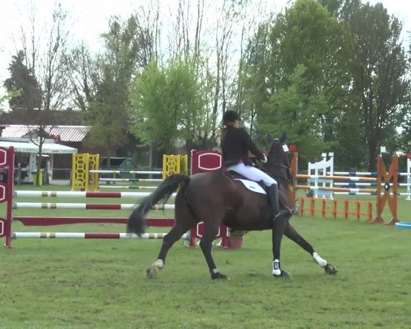 Reitturnier Lienen 2017