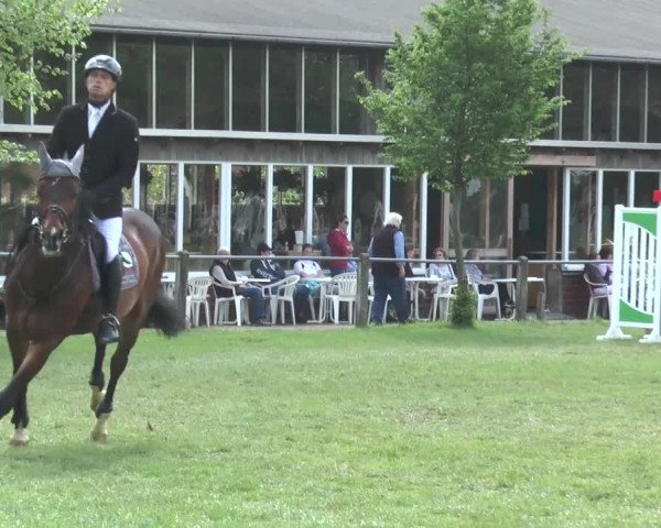 Reitturnier Lienen 2017
