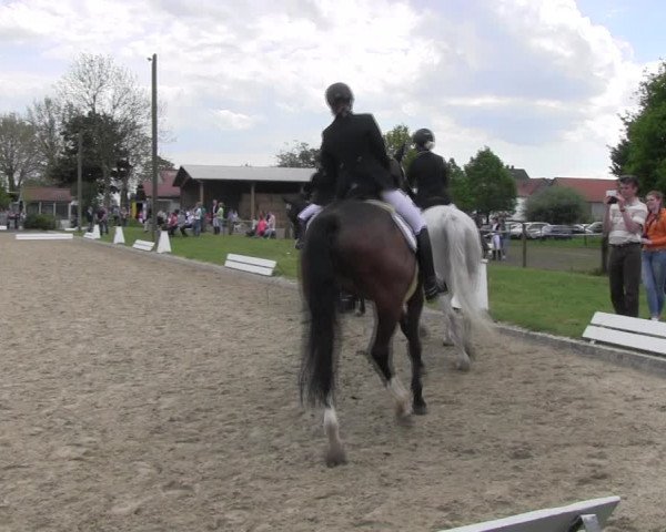 Reitturnier Ahlen 2017
