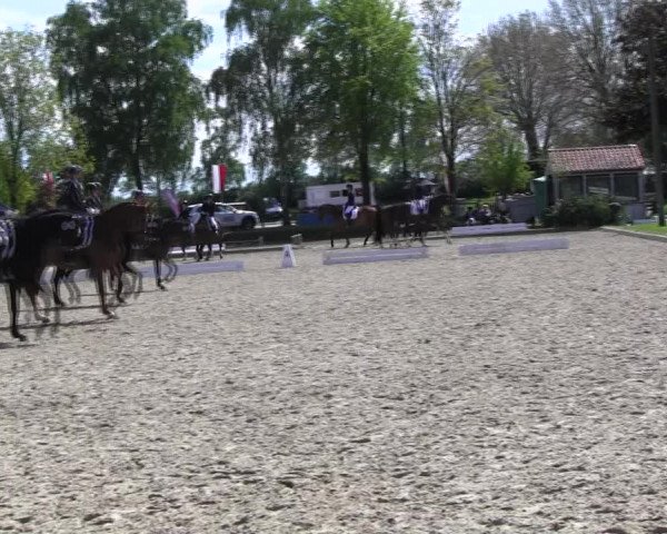 Reitturnier Ahlen 2017