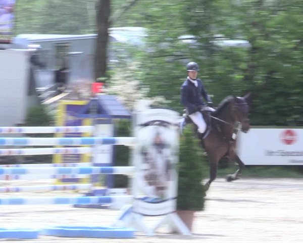 Reitturnier Nienberge 2017