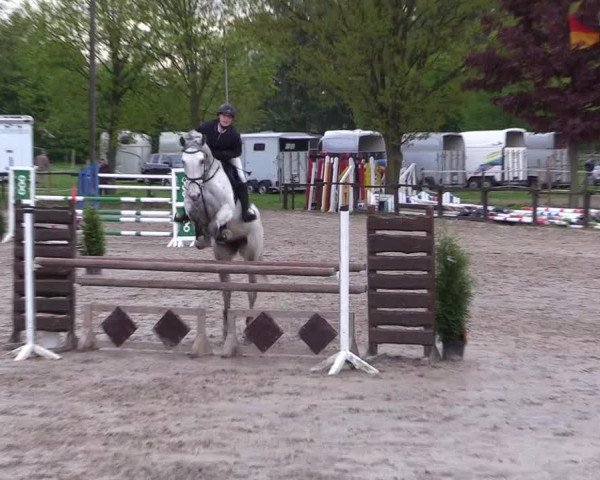Reitturnier Ahlen 2017