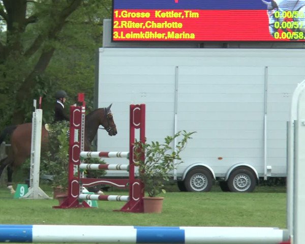 Reitturnier Lienen 2017
