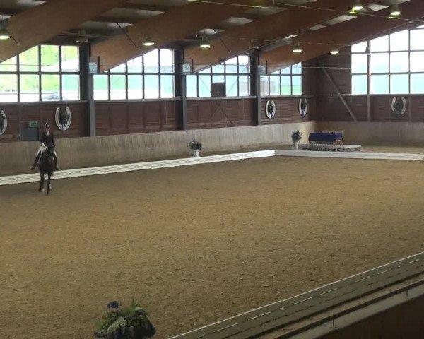 Reitturnier Köln-Leverkusen 2017