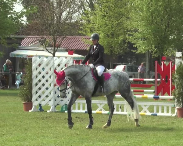 Reitturnier Lienen 2017