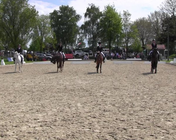 Reitturnier Ahlen 2017