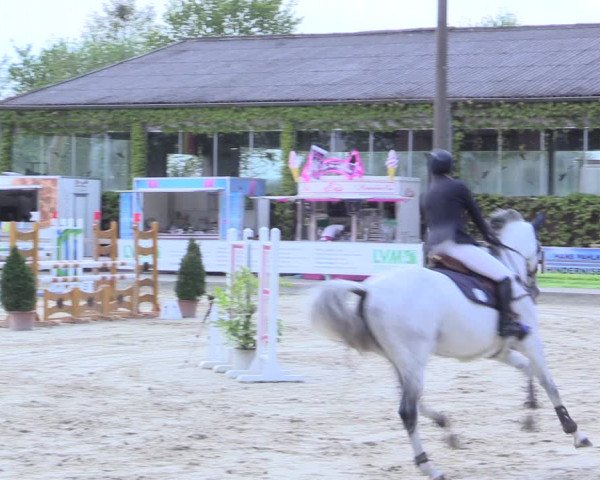Reitturnier Nienberge 2017