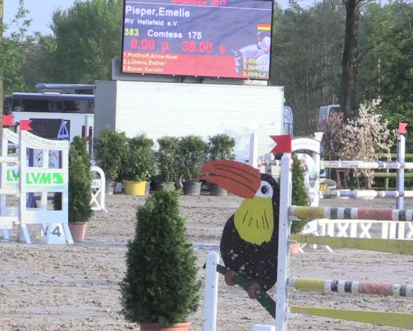 Reitturnier Nienberge 2017