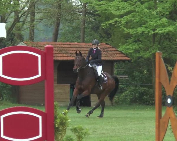 Reitturnier Lienen 2017