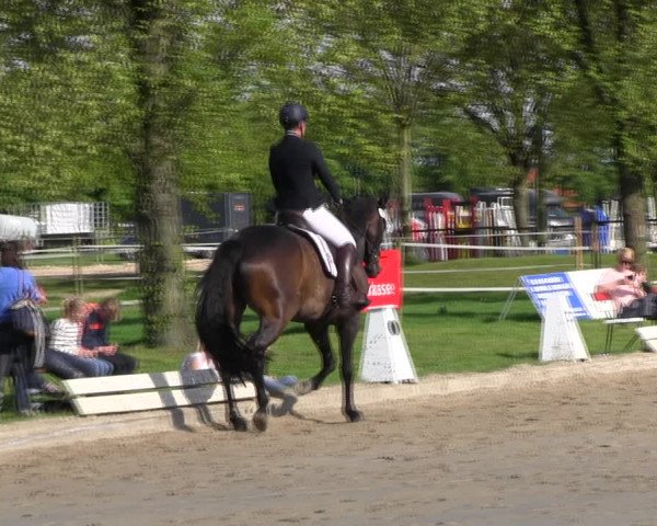 Reitturnier Ahlen 2017