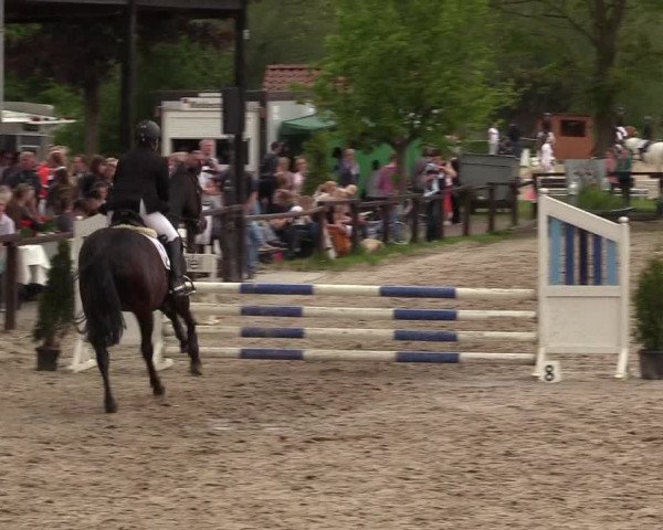 Reitturnier Ahlen 2017