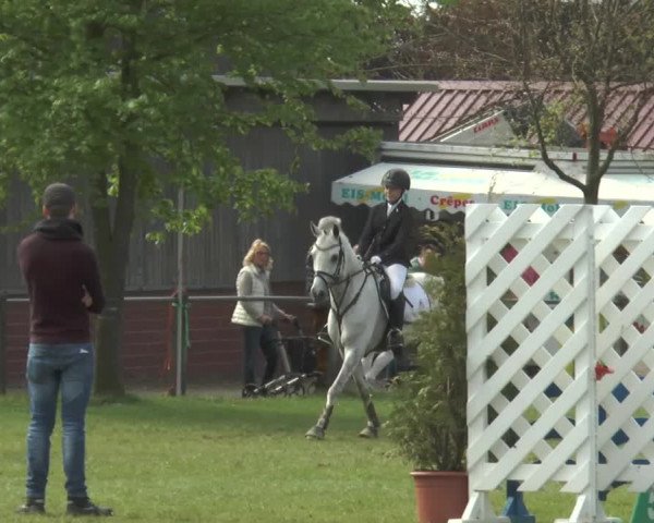 Reitturnier Lienen 2017