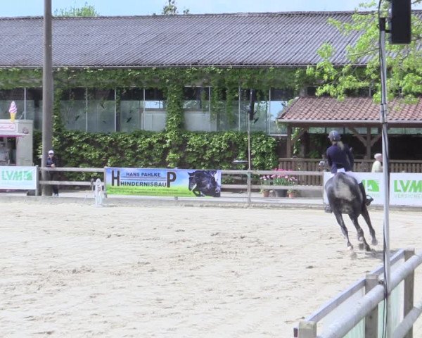 Reitturnier Nienberge 2017