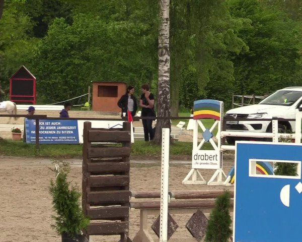 Reitturnier Ahlen 2017