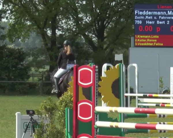 Reitturnier Lienen 2017