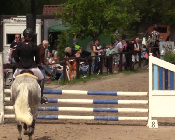 Reitturnier Ahlen 2017