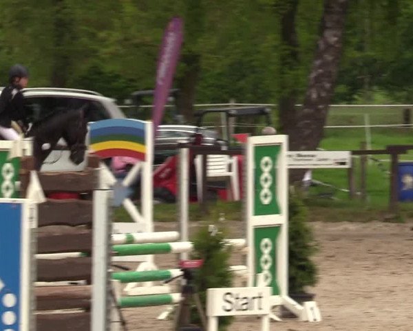 Reitturnier Ahlen 2017