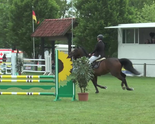 Reitturnier Lienen 2017