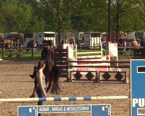 Reitturnier Ahlen 2017