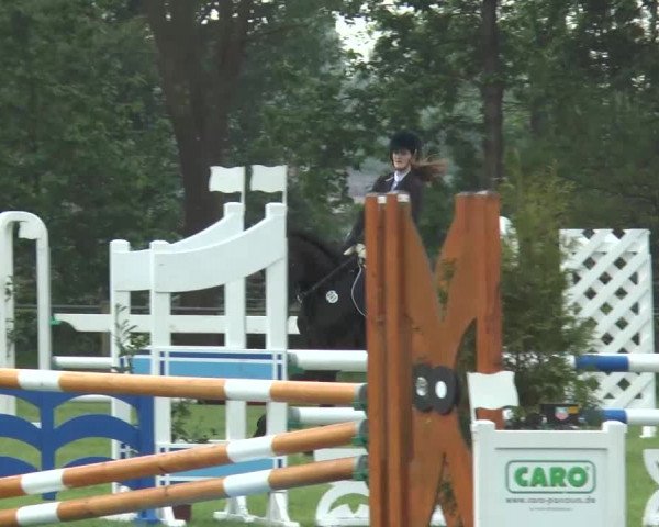 Reitturnier Lienen 2017