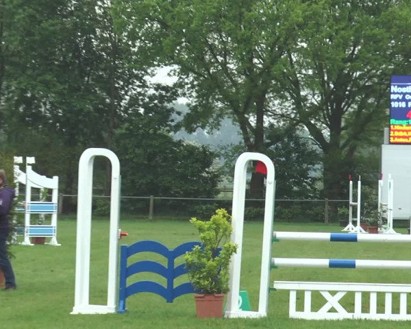 Reitturnier Lienen 2017