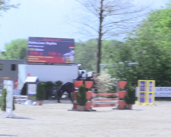Reitturnier Nienberge 2017