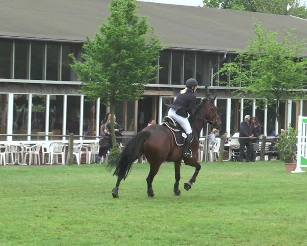 Reitturnier Lienen 2017