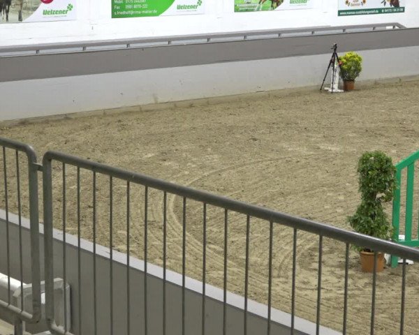 Reitturnier Luhmühlen 2021