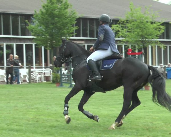 Reitturnier Lienen 2017