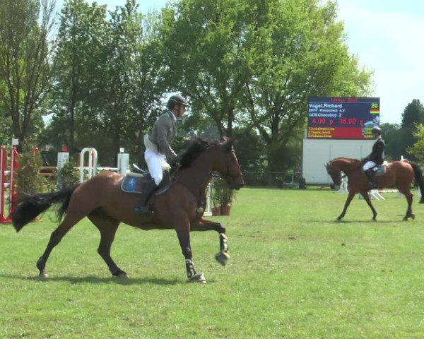 Reitturnier Lienen 2017