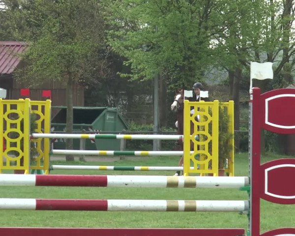 Reitturnier Lienen 2017