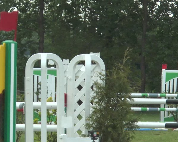 Reitturnier Lienen 2017