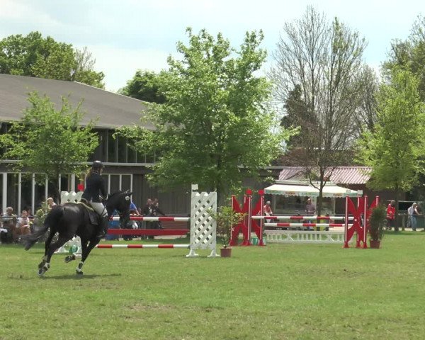 Reitturnier Lienen 2017
