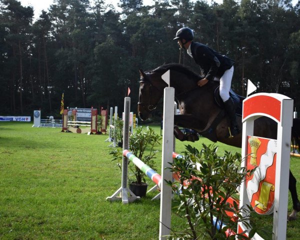 broodmare Betty Bariton (Westphalian, 2012, from Bariton)