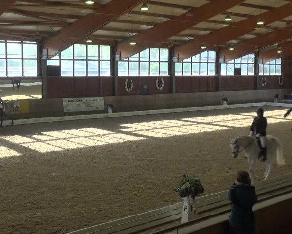 Reitturnier Köln-Leverkusen 2017