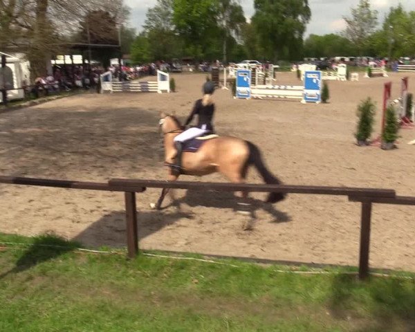 Reitturnier Ahlen 2017